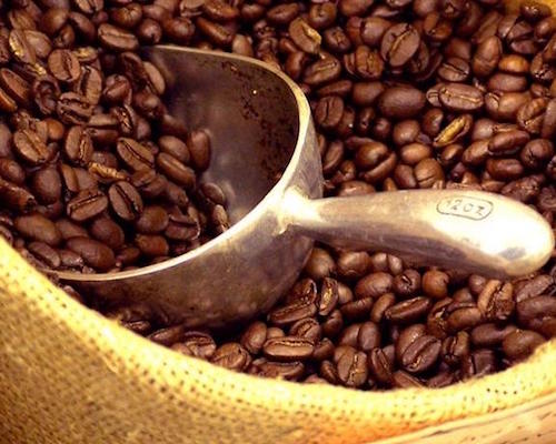 Cà phê hạt Robusta cỡ hạt 16